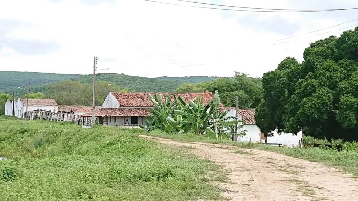 Fazenda a Venda 1.000 Hectares - Riachuelo