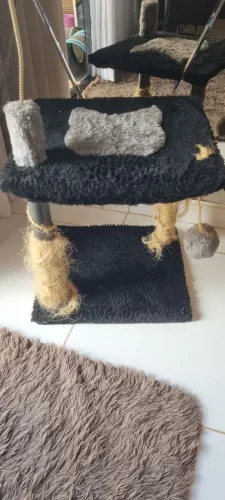Doação de arranhador para gatos