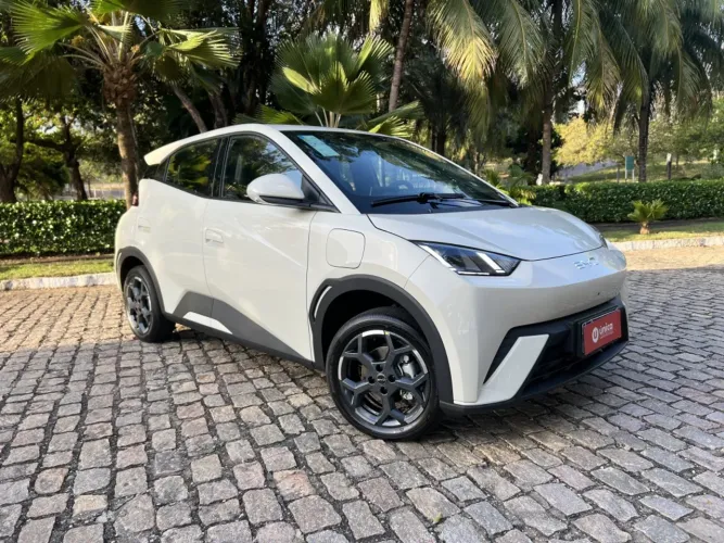 BYD Dolphin Mini (Elétrico) 2027