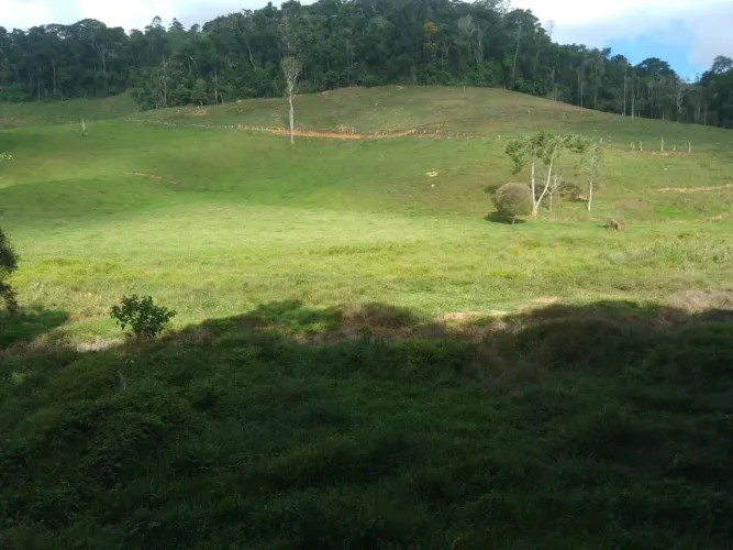 Sítio marechal floriano Araguaia 2 Alqueires