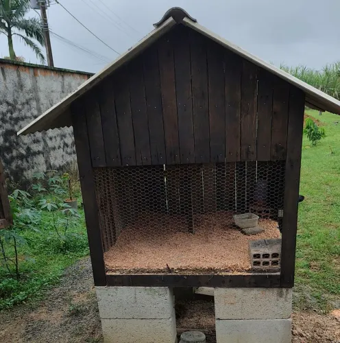 Viveiro para galinha, pintinhos etc..