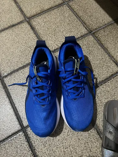 Asics nimbus 27