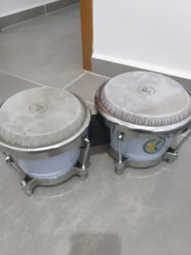 BONGO