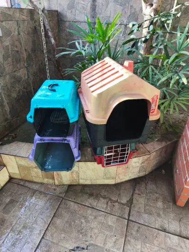 CAIXA DE TRANSPORTE PET