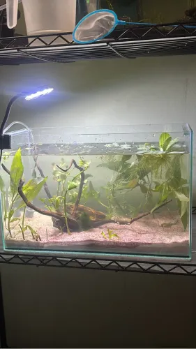 Aquários, equipamentos, plantas