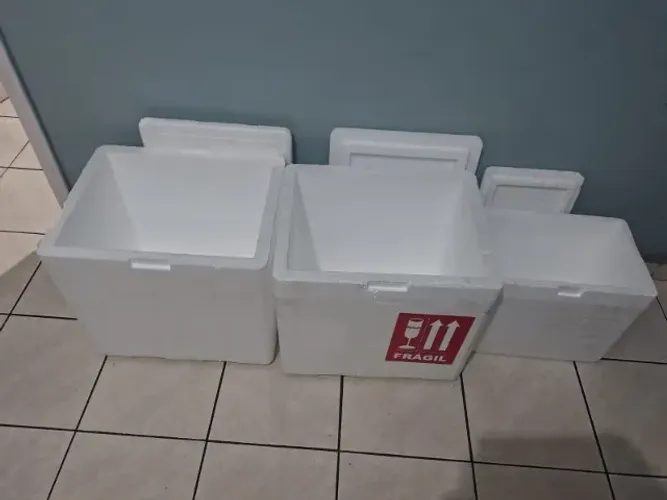 Caixas de Isopor - Varios tamanhos - a partir de R$10 para sair logo