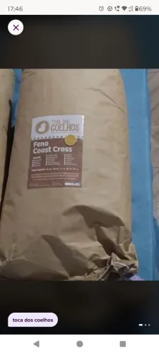 feno coast cross camomila 1kg