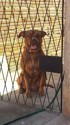 Doação