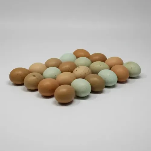 Vende se 15 Ovos Galados de Codornas Chinesinhas ou Gigante