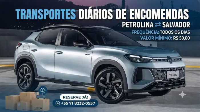 VIAGENS E TURISMO, PETROLINA X SALVADOR 