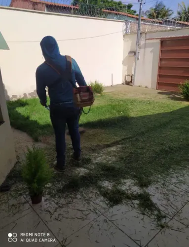 Paisagismo/ jardinagem/ jardineiro