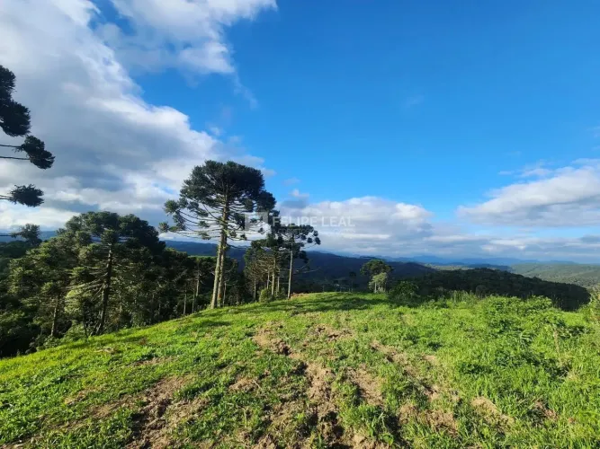 Terreno Área em Pinheiral - Rancho Queimado