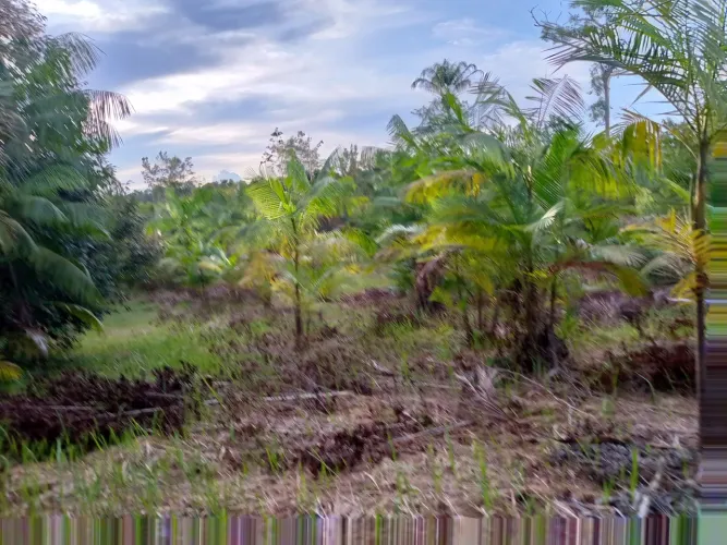 Sítio 250/1000 $40.000 Manaquiri.