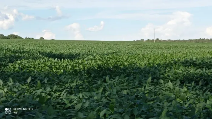 Fazenda 189 alqueires em Doverlândia-GO