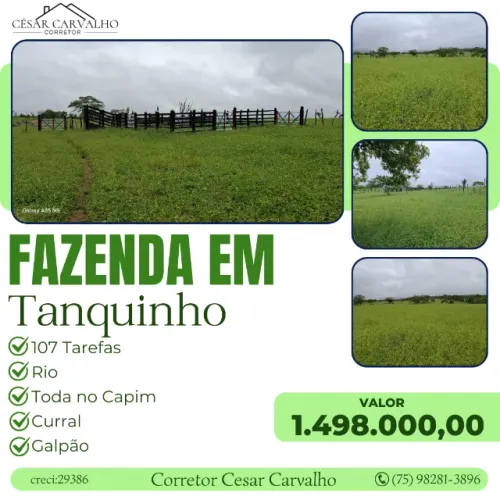 FAZENDA EM TANQUINHO - 107 TAREFAS