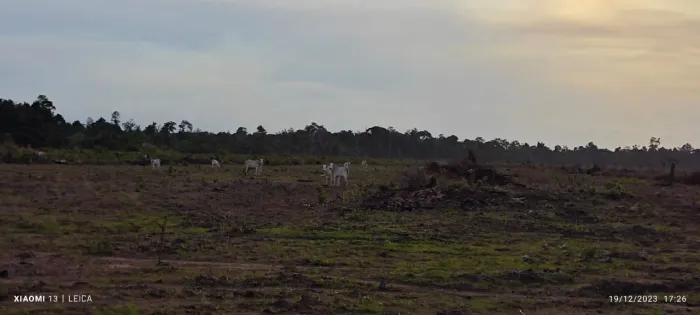 Vendo Fazenda em Tailândia/Pa.