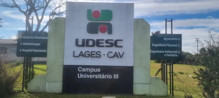 Apartamento aconchegante para locação