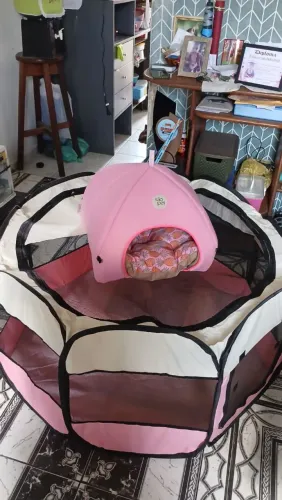 Vendo acessórios para pet