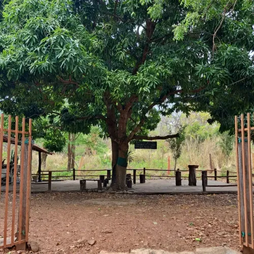 CHÁCARA- PANTANAL DE BARÃO DE MELGAÇO