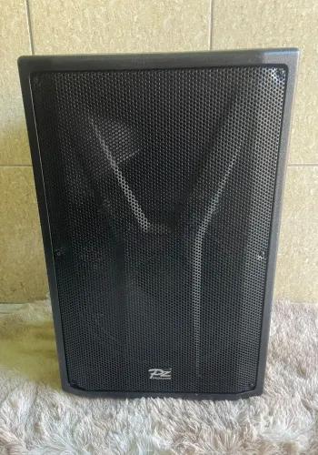 Caixa Pz ativa 15 polegadas 1000W