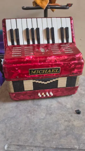 Acordeon Michael 8 baixos