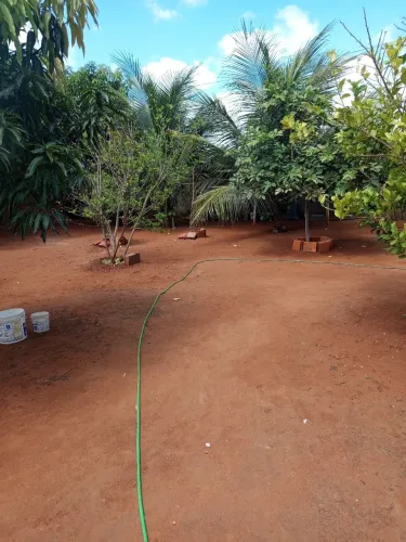 Vendo terrenos ou ária para chácara a 300 metros da AL115