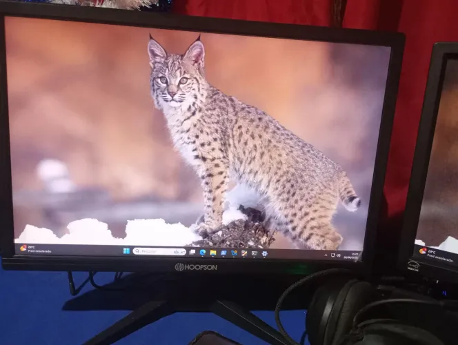 MONITOR