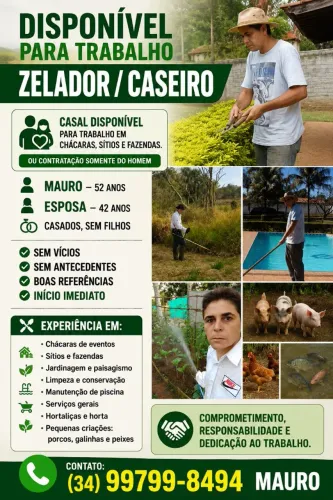 Caseiro disponível 
