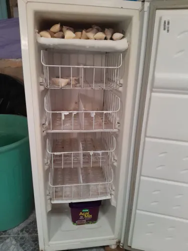 Freezer Consul