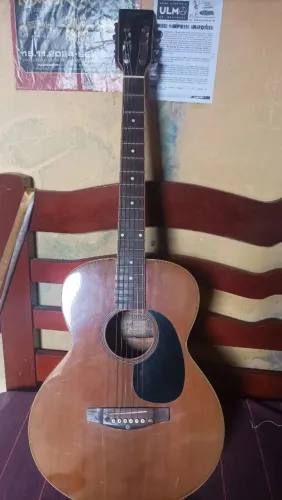 Violão Tagima aço
