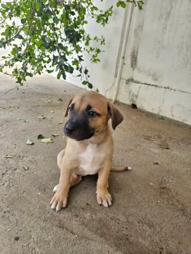 Doação 