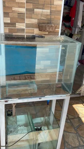 Aquário 80L