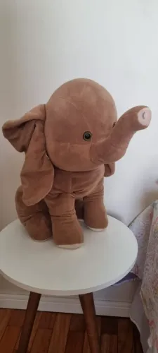 Urso grande