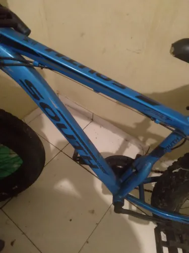 Fat bike