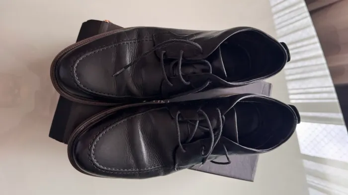 Bota democrata 
