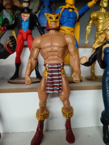 Fera b,wana DC universe classic matel