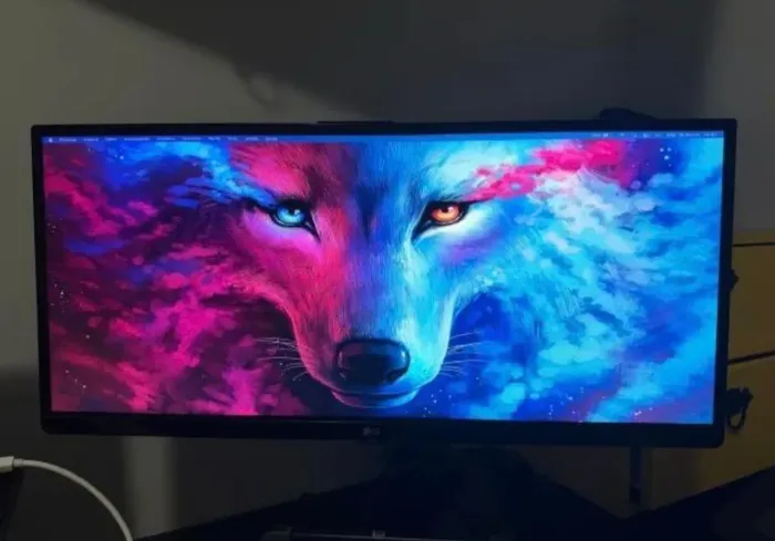 Monitor Lg 25 polegadas 75hz Ultra wide