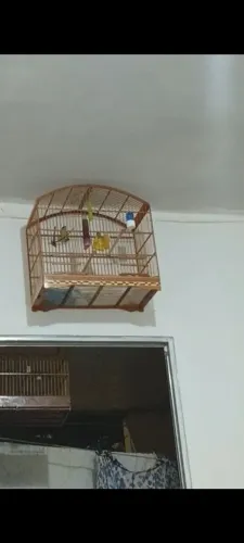 Gaiolas