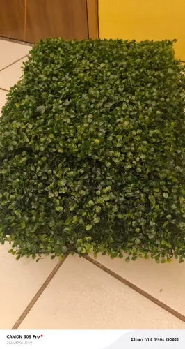 Tela decorativa