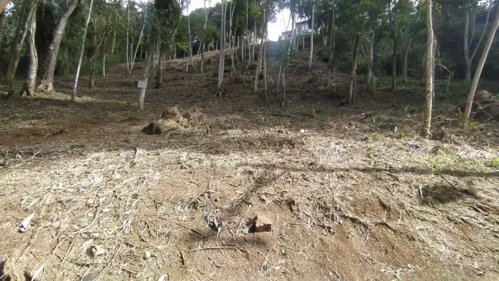 Lote / Terreno - Novo Horizonte