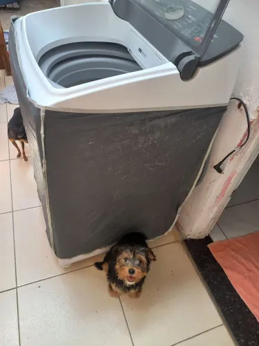 Máquina de lavar roupas Brastemp 14 quilos 