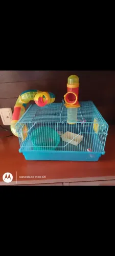 Gaiola Hamster Grande Com Tubos Casa Completa Roedor Cor Azul