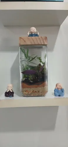 Terrario tropical | Mini Jardim em vidro