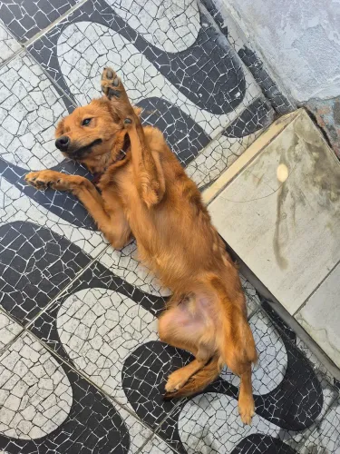 Doação