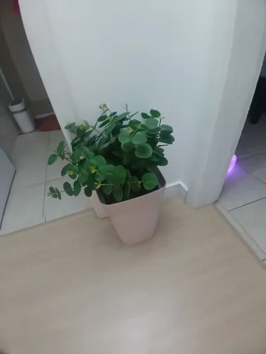 Vaso artificial