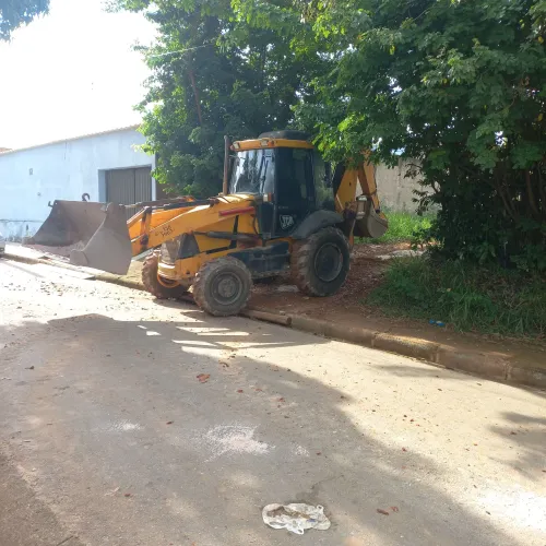 JCB 2010