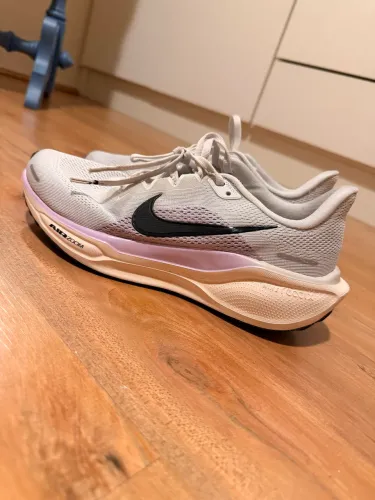 Tênis Nike Pegasus 41