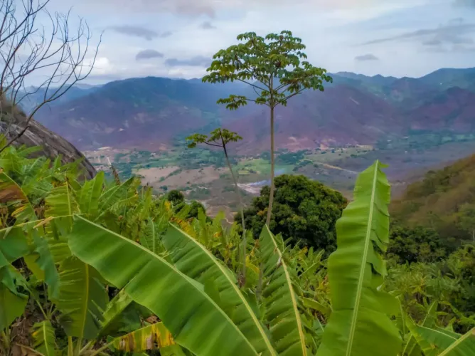 Terreno de 18.569 hectares com exuberantes plantações de árvores frutíferas em Uruburetama
