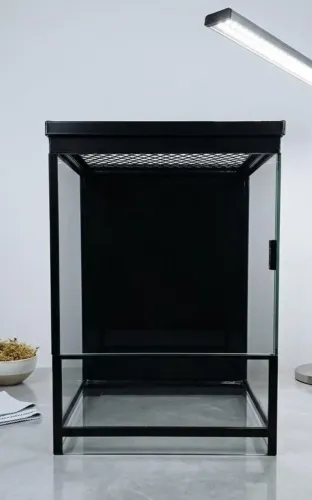 Terrário de Vidro 20x20x30cm com Tela Superior | Ideal para Aranhas, Lagartos e Rãs arbori