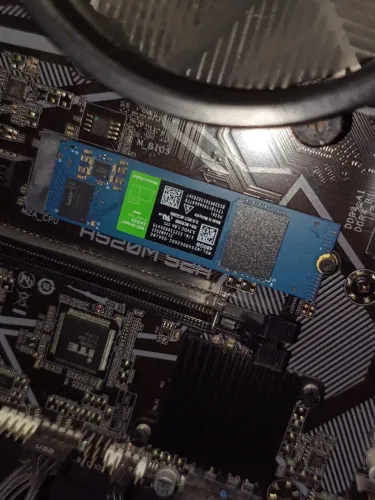 SSD WD Green SN350 500 GB